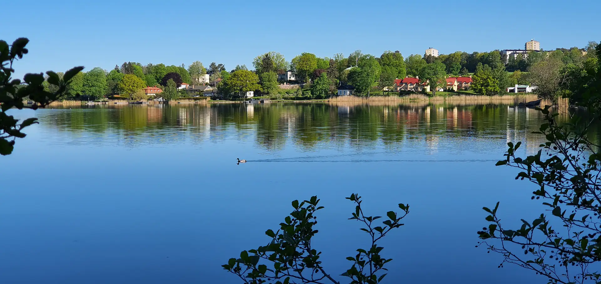 Specialister inom radonsanering i Norrköping